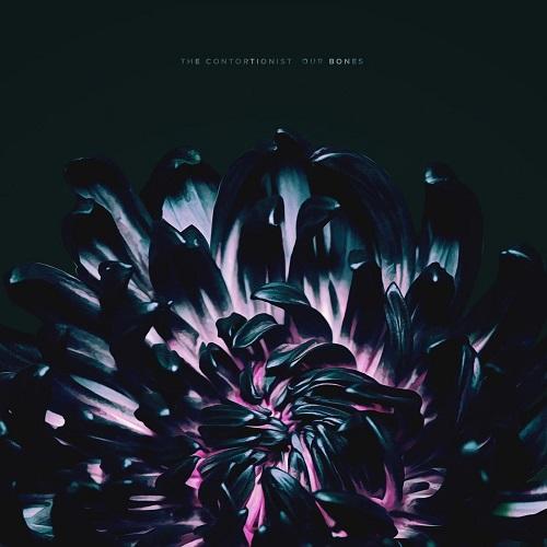 The Contortionist - Our Bones (EP) (2019)