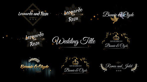 Six Beautiful Wedding Title - Project for After Effects (Videohive)
