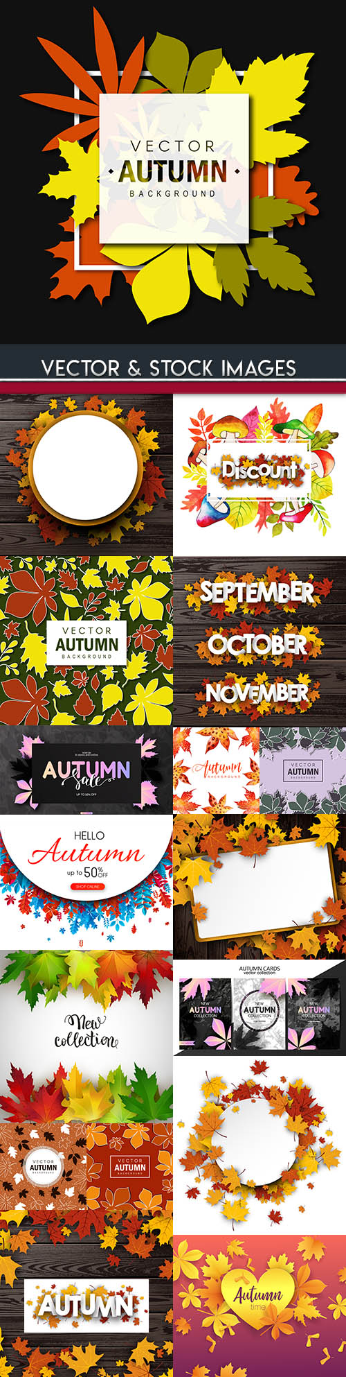 Autumn leaves decorative colourful background