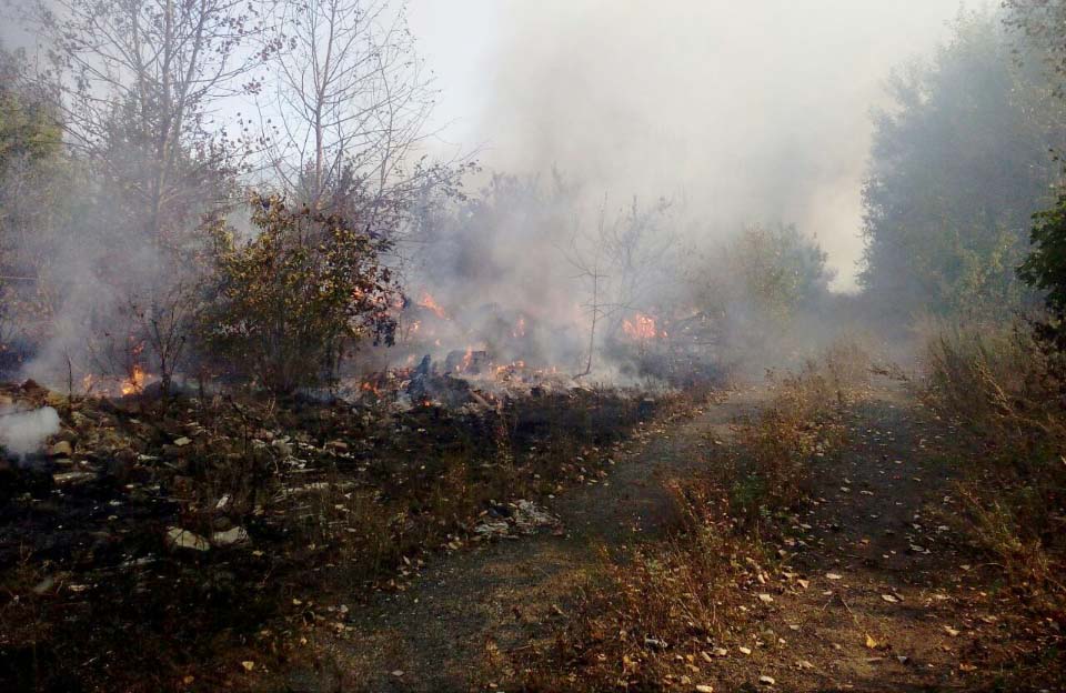 Вісті з Полтави - За добу на Полтавщині загасили 14 пожеж на відкритій території