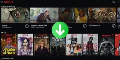 TunePat Netflix Video Downloader 1.0.1