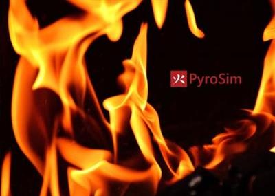 Thunderhead Engineering PyroSim  2019.2.1002