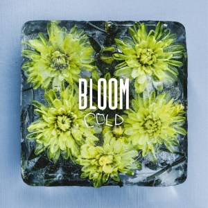 Bloom - Cold [Single] (2019)