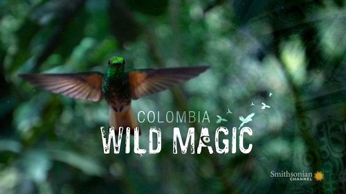 Smithsonian Channel - Colombia: Wild Magic (2016) 720p HDTV