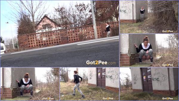 Unknown - Video-golden-puddle (2019/FullHD)