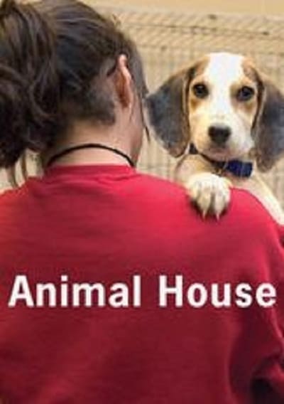Animal House S05E07 HDTV x264-LINKLE