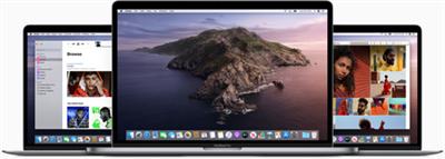 macOS Catalina 10.15.1 (19B88) [Mac App Store]