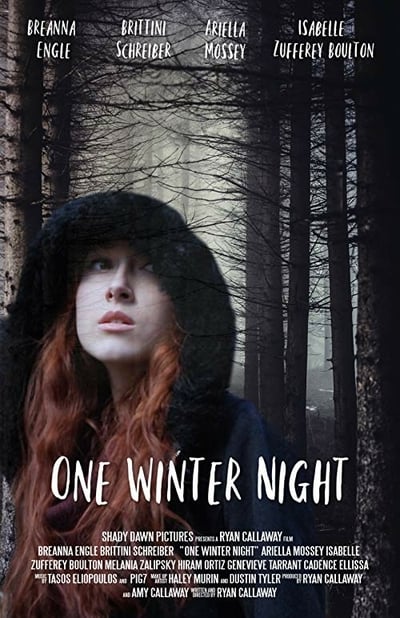 One Winter Night 2019 WEBRip x264-ION10
