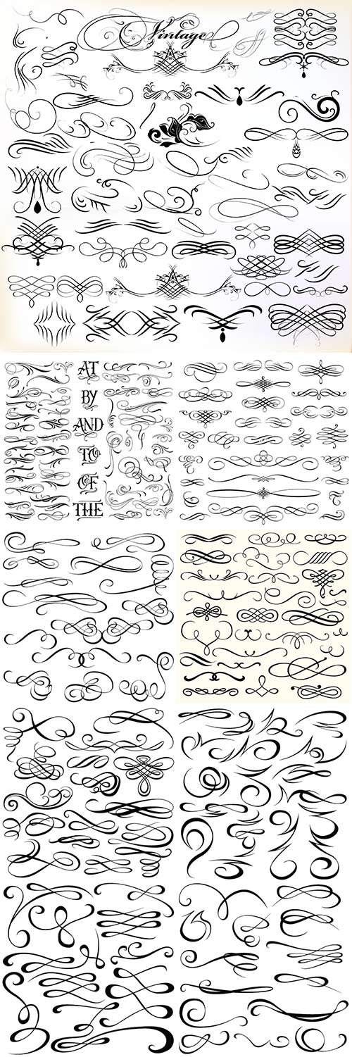 Set of vector graphic elements in calligraphic or floral design style