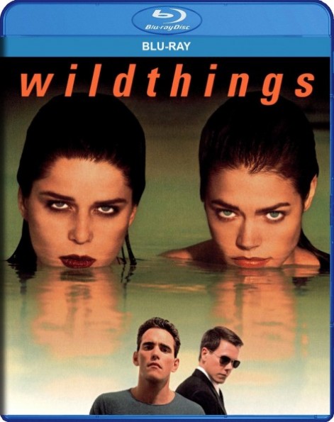 Wild Things (1998) Unrated 1080p BluRay x265 DTS-HD MA 5 1 TAoE
