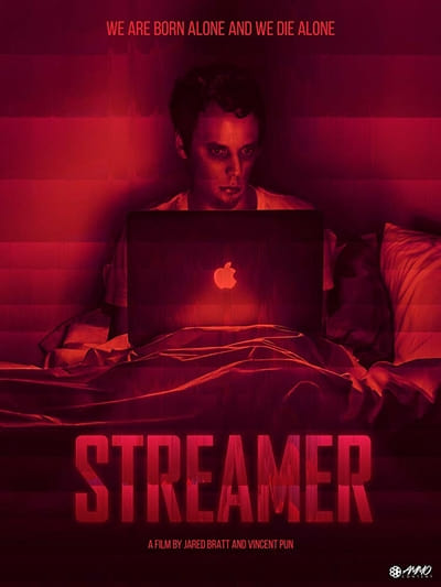 Streamer 2019 1080p WEB-DL H264 AC3-EVO