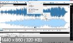 MAGIX SOUND FORGE Audio Studio 12.6.0.356