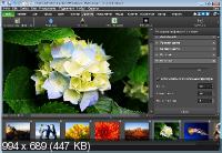 NCH PhotoPad Image Editor Pro 5.00 Ml/Rus/2018 Portable
