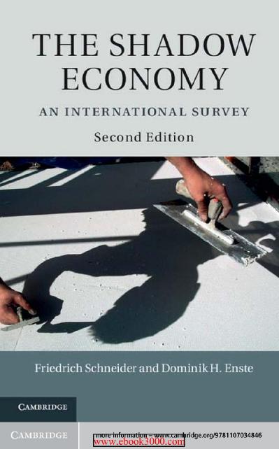 The Shadow Economy- An International Survey 2 edition