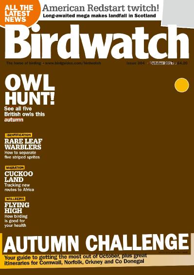 Birdwatch UK October (2017)