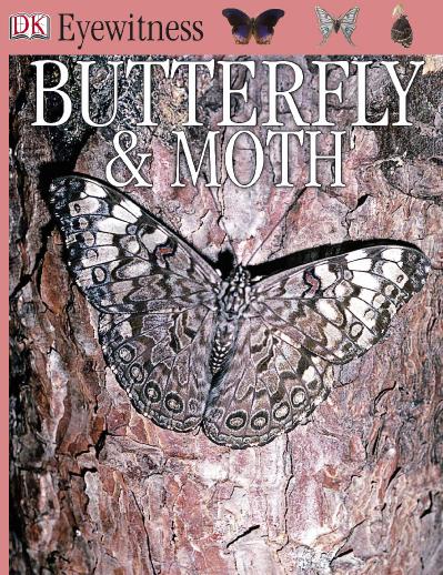 Eyewitness - Butterfly amp Moth Eyewitness Books