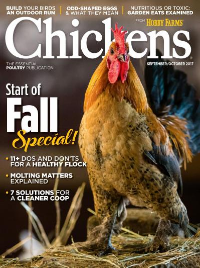 Chickens September October (2017)