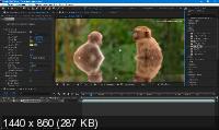 Red Giant VFX Suite 1.0.0 + RePack