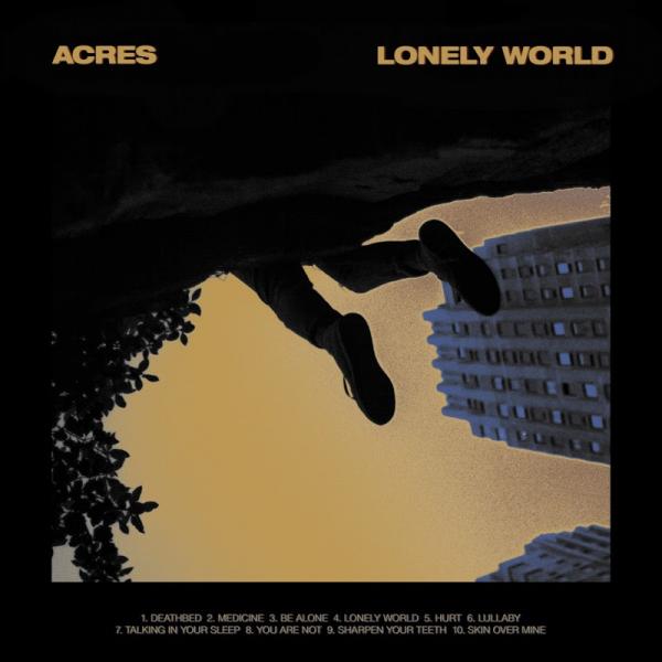 Acres Lonely World 2019