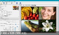 Benvista PhotoZoom Classic 8.0.6