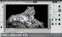 Adobe Photoshop Elements & Premiere Elements 2020 v18.0