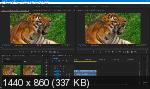 Adobe Premiere Pro 2020 14.0.0.571