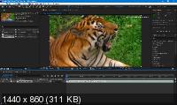 Adobe After Effects 2020 17.0.0.557